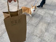 -星巴克(苏州平江万达广场店)