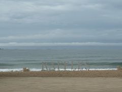 -海南清水湾莱佛士酒店