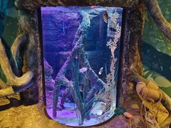 -沈阳海洋探索中心