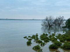 -宝安西湾红树林湿地公园