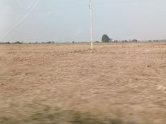 -鄱阳湖国家湿地公园