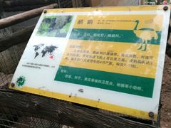 -昆明动物园