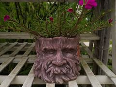 -三圣花乡旅游区