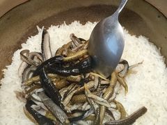 -顺德·古草食记(长寿店)