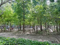 -古塔公园