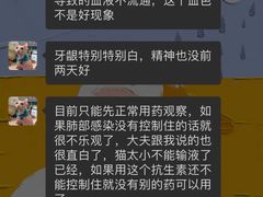 -久久宠物(河东万达店)