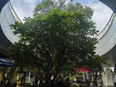 -厦门高崎国际机场-T3航站楼