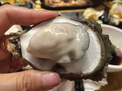 -烧蠔帮·生蚝海鲜牌档(观海店)