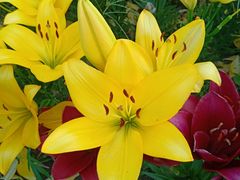 -长春公园(普阳街道)