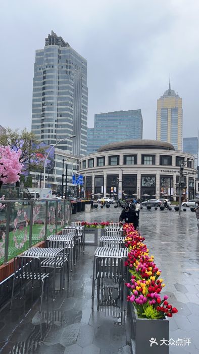 金色希望596图片