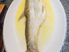 鸡汁白鱼-南京大牌档(青岛万象城店)