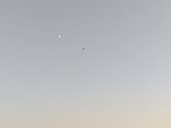 -南汇新城海滩