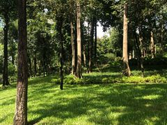 -云溪植物园