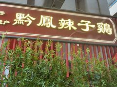 -黔凤辣子鸡