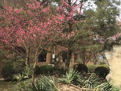-西安交通大学(雁塔校区)