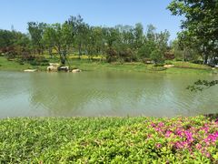 -牛首山文化旅游区