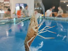 -SHRIMP CLUB万东餐饮钓虾·清吧