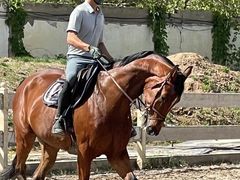 -北京群众马术培训基地