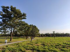 -汉长安城未央宫国家考古遗址公园