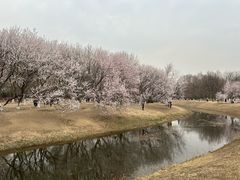 -万通商城