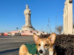 -天津妈祖文化园