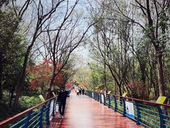 -上海吴淞炮台湾国家湿地公园