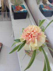 -凡碧诗毛孔收细