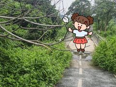 -风云岭森林公园