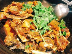 甲鱼煲-五稻厨房粤西菜(新闻店)