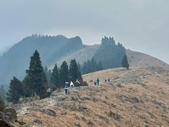 -萍乡武功山风景名胜区