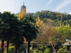 -镇江市南山风景名胜区竹林景区