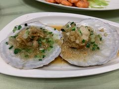 -高佳庄·舟山海鲜(海景旗舰店)