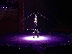 -珠海横琴长隆《卡卡虎奇遇记》