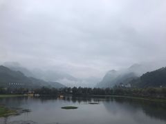 -后柳水乡