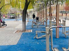 -大兴滨河森林公园