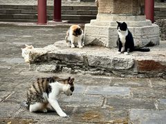 -四门塔风景区
