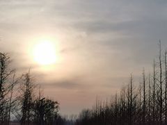 -盐城丹顶鹤湿地生态旅游区