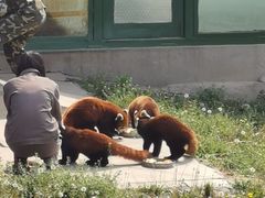 -石家庄市动物园