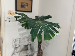 -甲乙果 美术书法(通州校区)