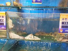 -小船渔村•大连菜•大连焖鱼(明泽街店)