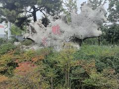 -桃花岛公园