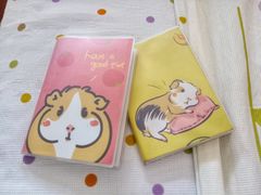 -雨林宠物医院 非犬猫异宠专科