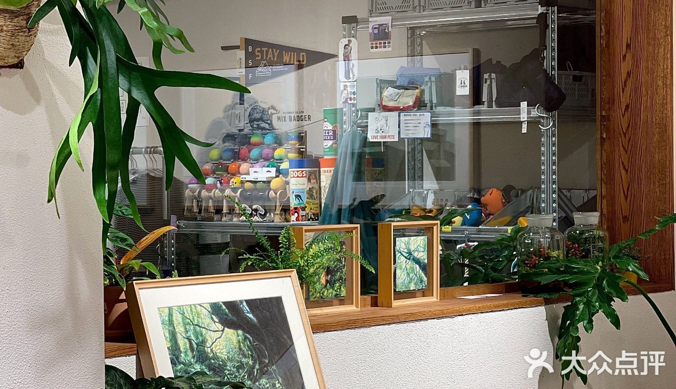 二条商店｜南京日杂｜生活治愈向