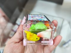 -上海大自然野生昆虫馆(东方明珠·爬宠昆虫探索中心)