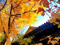 -晋祠公园