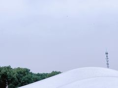 -上海月湖雕塑公园