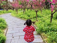 -南汇桃花村