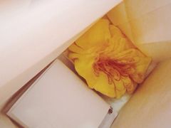 檬舒舒(久光百货店)-檬舒舒MonChouChou(久光百货店)