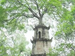 -千龙湖生态旅游度假区