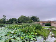 -澹台湖公园